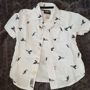 Boys 2T short sleeve button down white with tucans